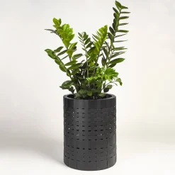 Juncus Black Cachepot