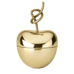 Knotted Cherry Small Box in Brass By Nika Zupanc