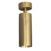 Kyle Pl Gold Brass Ceiling Lamp