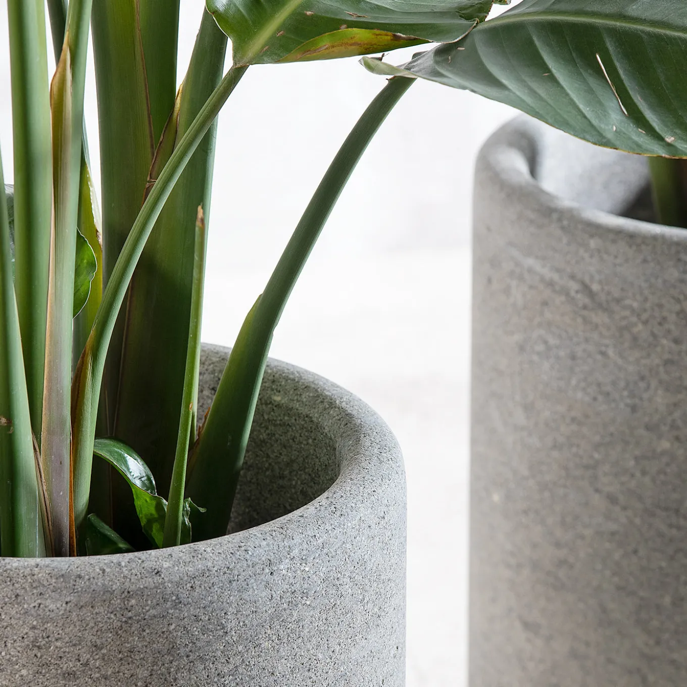 Lapis gray Peperino stone Vase Holder