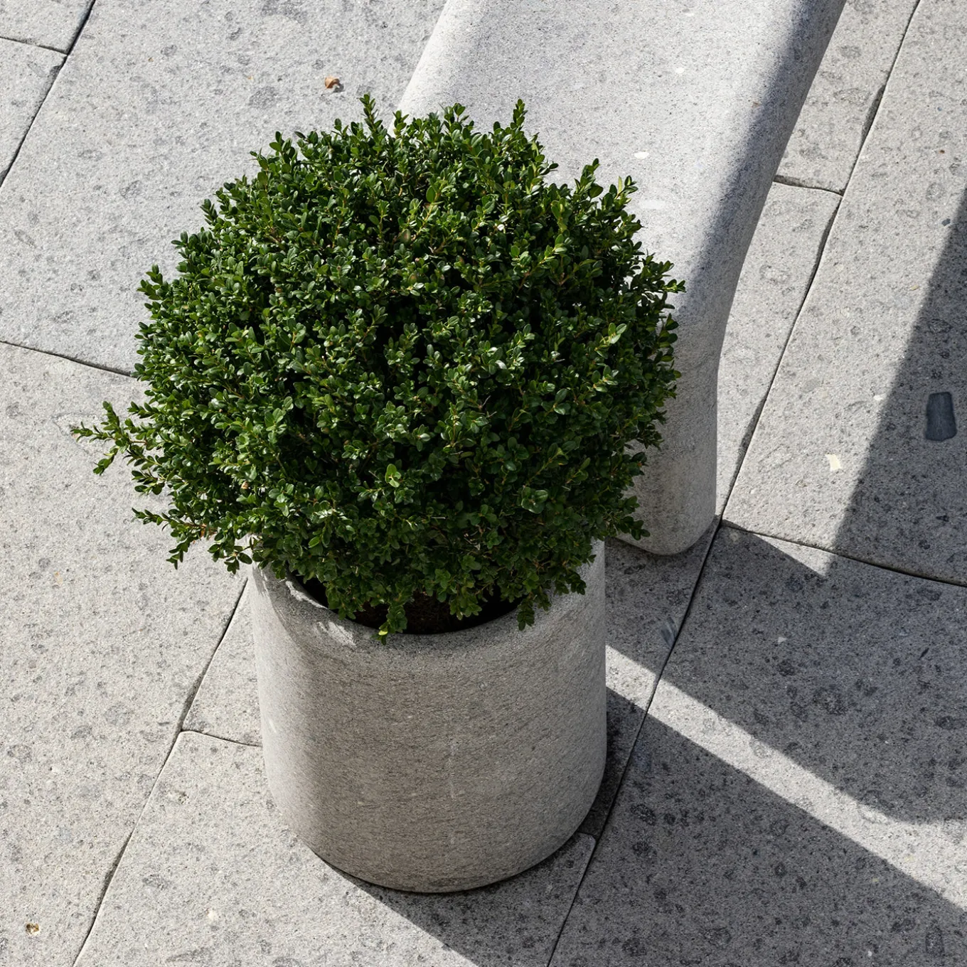 Lapis gray Peperino stone Vase Holder