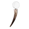 Large Magnifying Glass