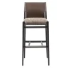 Ledermann Bar Stool