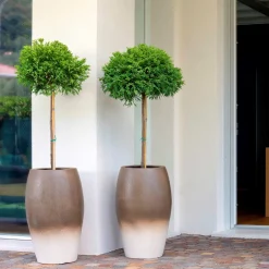 Lerici Brown Vase