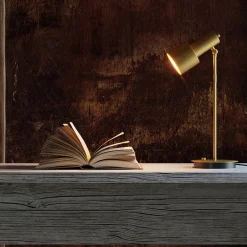 Light Gallery Luxury GP Bronzed Desk Lamp by Marco Pollice