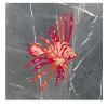 Lionfish Grey Stone Marble & Leather Decorative Panel