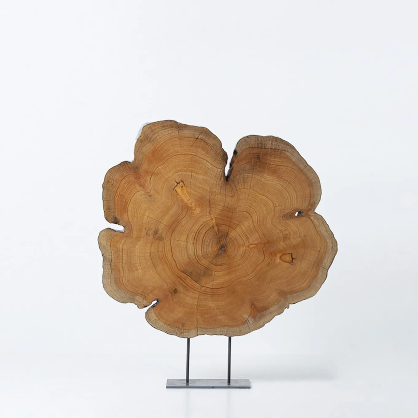 Locum Er Thousand-Year Old Cypress Sculpture