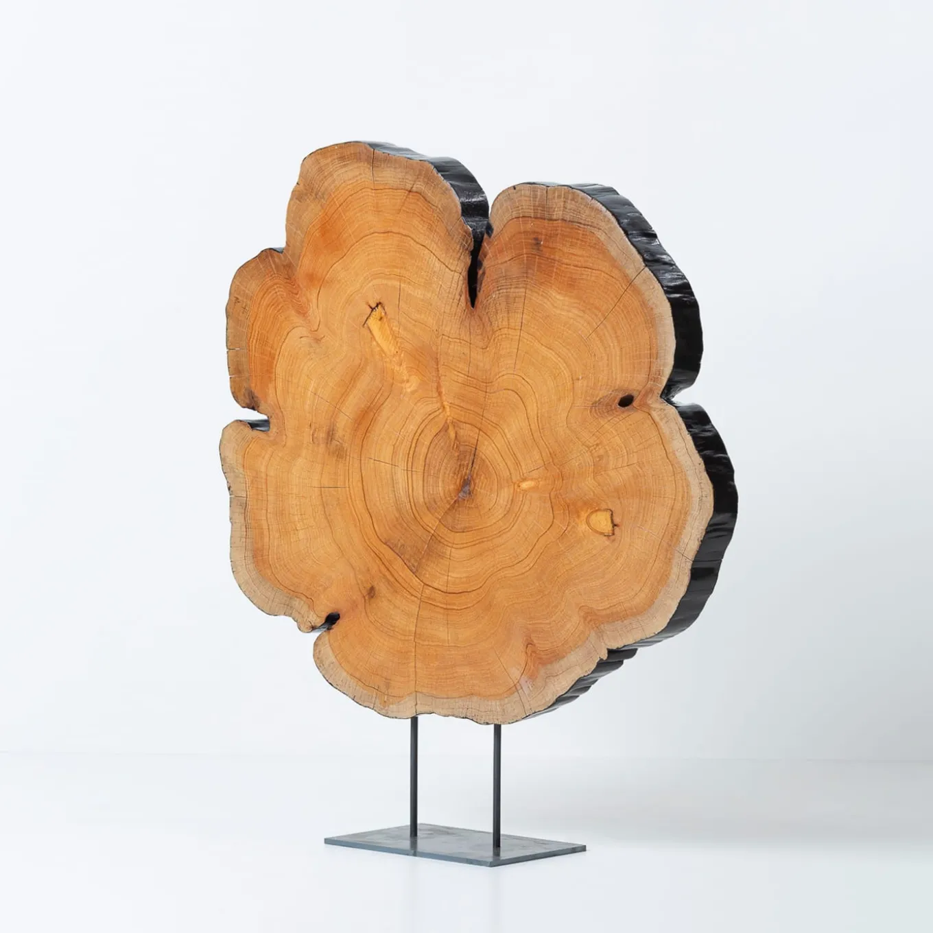 Locum Er Thousand-Year Old Cypress Sculpture