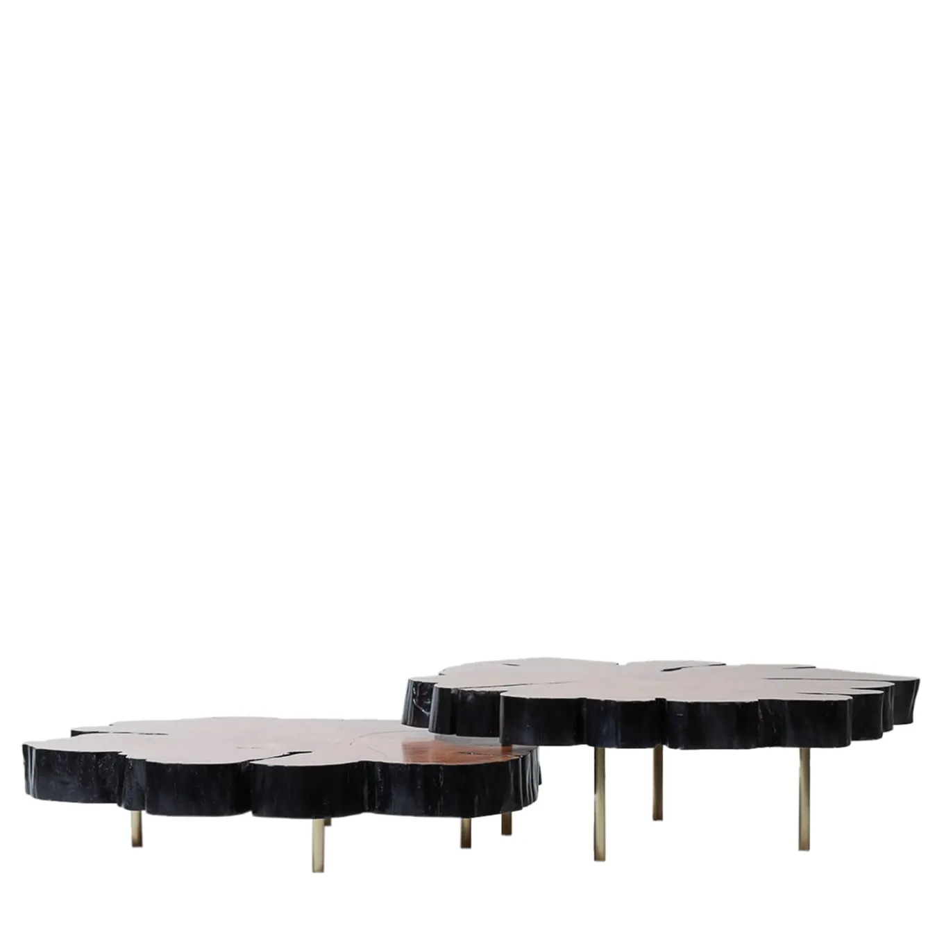 Locum II Set of 2 Coffee Tables