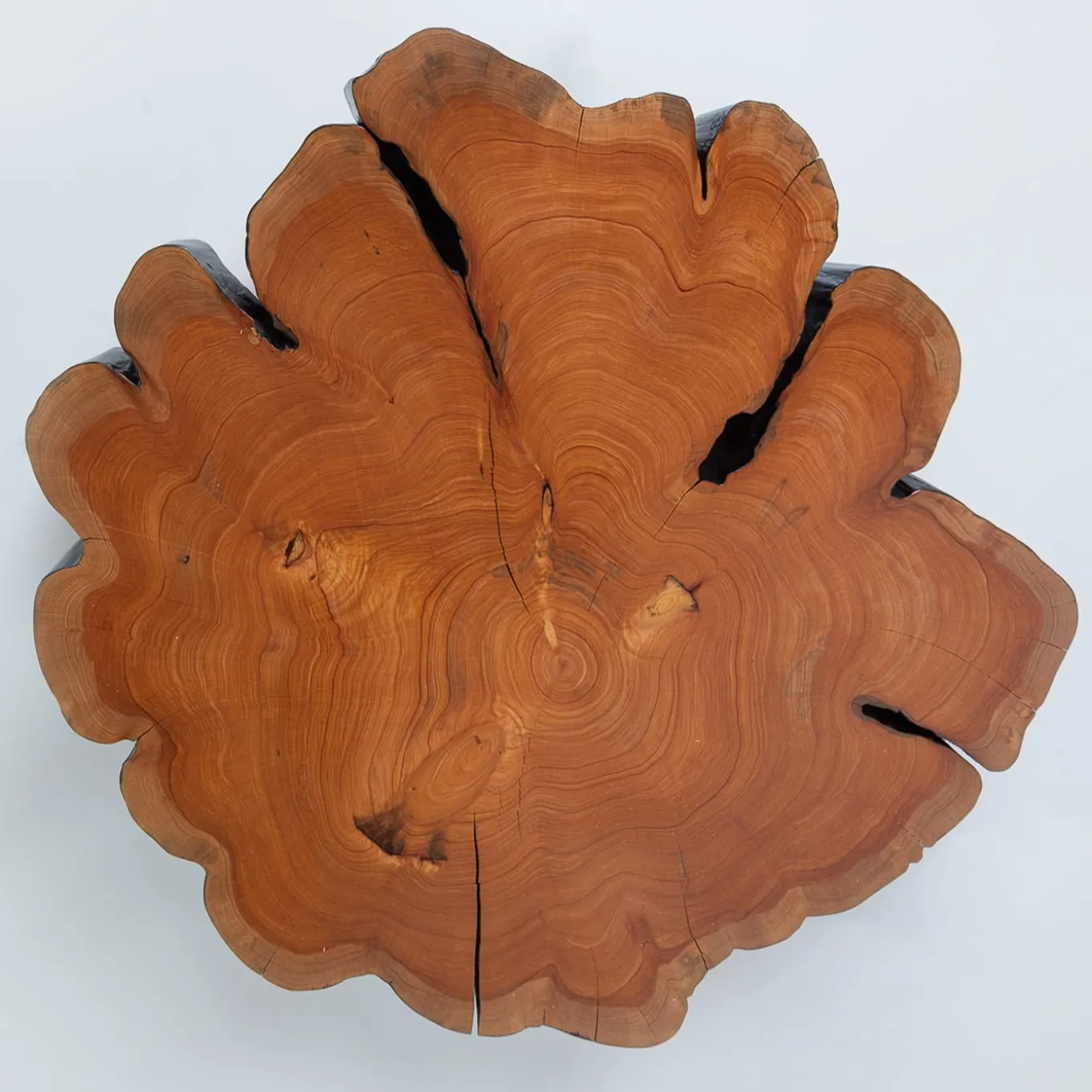 Locum IV Coffee Table