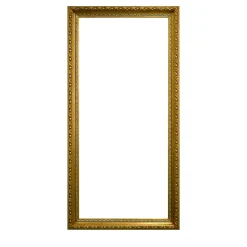 Louis XVI Silver & Gold Frame
