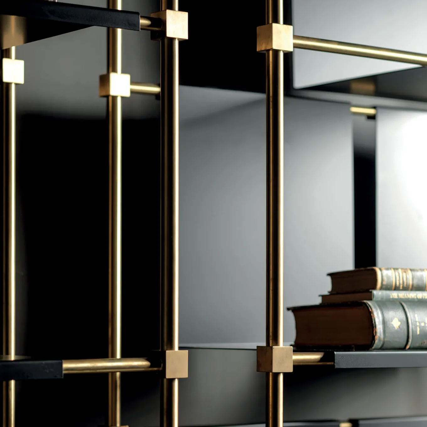 Ludo Brass Bookcase by Filippo Montaina