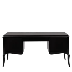 Lumiere Black-And-White Desk