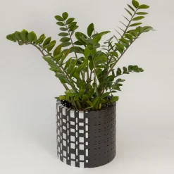 Lux Trabem Black Cachepot