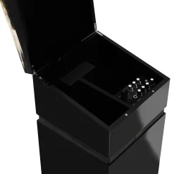 Lyra Glossy black lacquered wood and horn Speaker