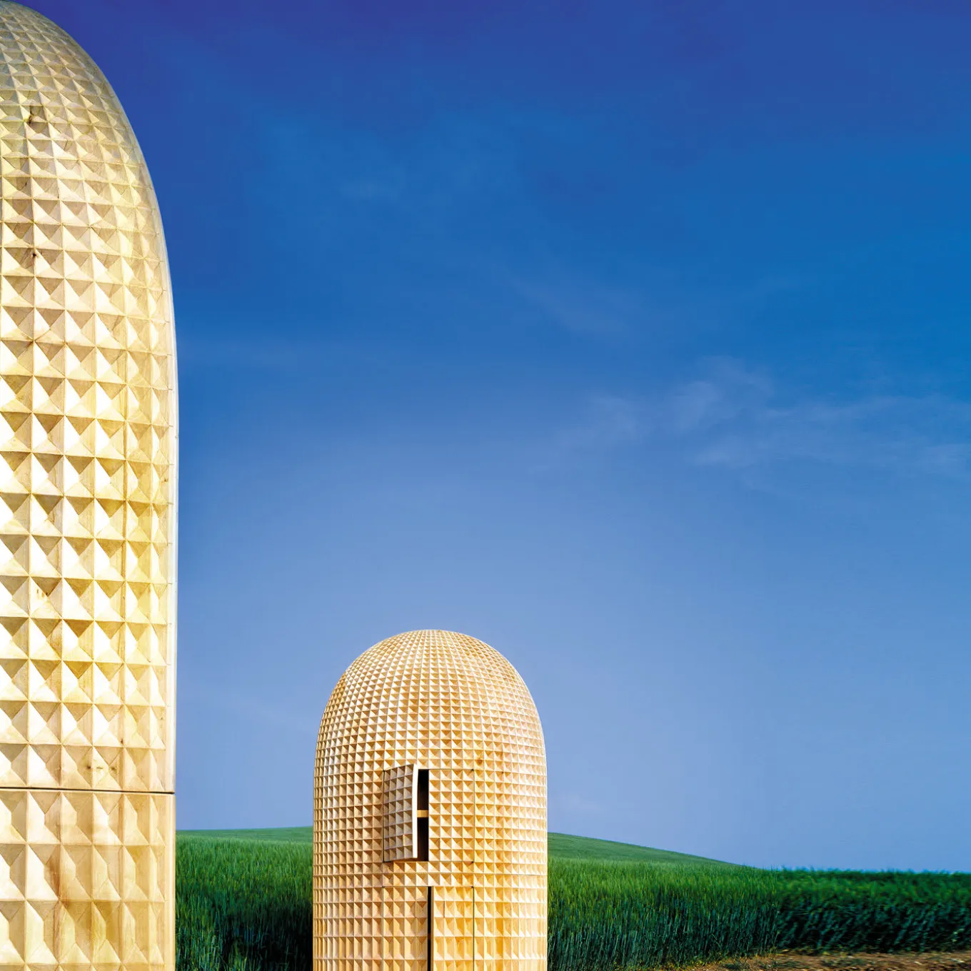 Madia Intagliata Chest