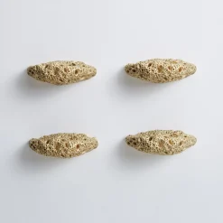 Madrepora Set of 4 Brass Door Knobs by Nicole Valenti