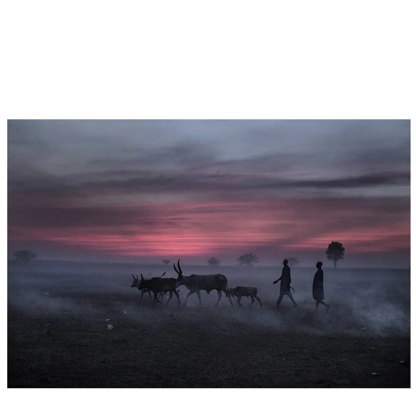 Maiores Nostri #06 Photography