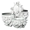 Mare 3-Bowl White Hors D'Oeuvre Plate by Antonio Fullin