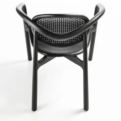 Marlena Black Chair With Arms by Studio Nove.3