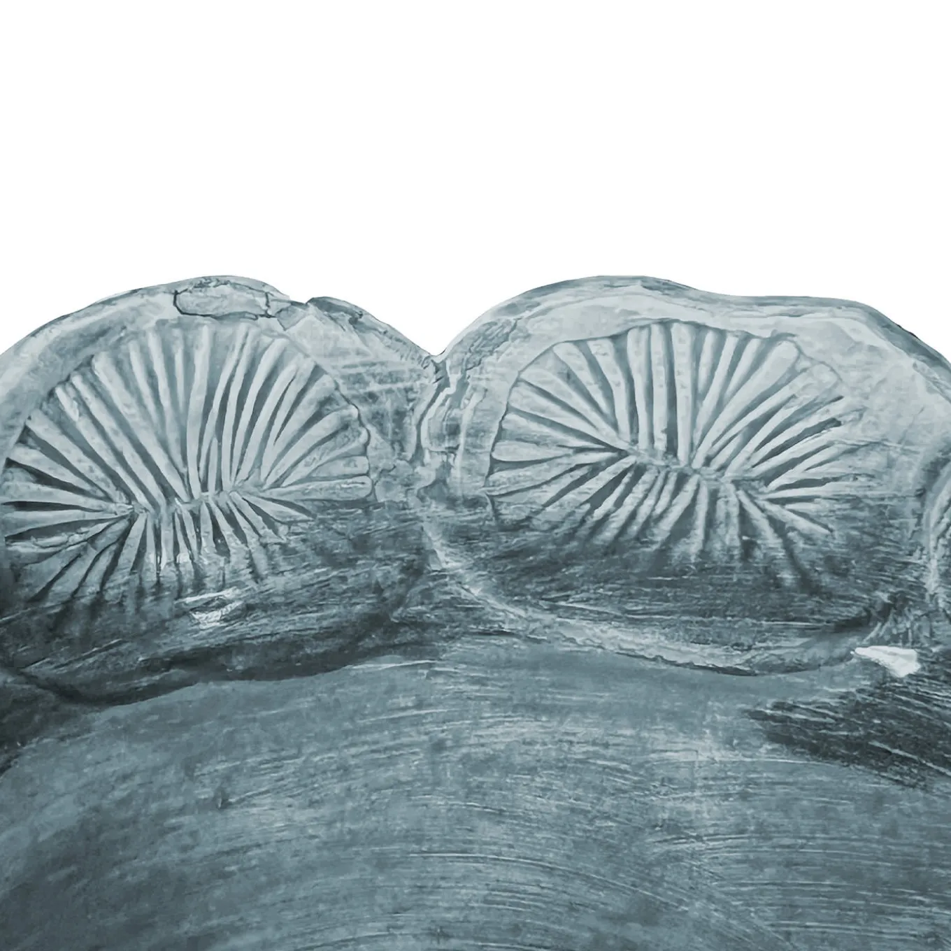 Mars decorative Bowl