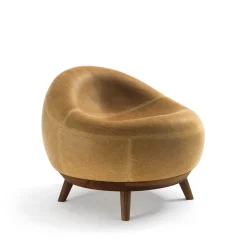 Maui Camel Armchair by Terry Dwan