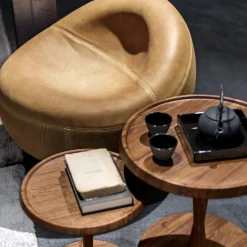 Maui Camel Armchair by Terry Dwan
