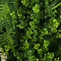 Meleda Outdoor Vertical Greenery Composition