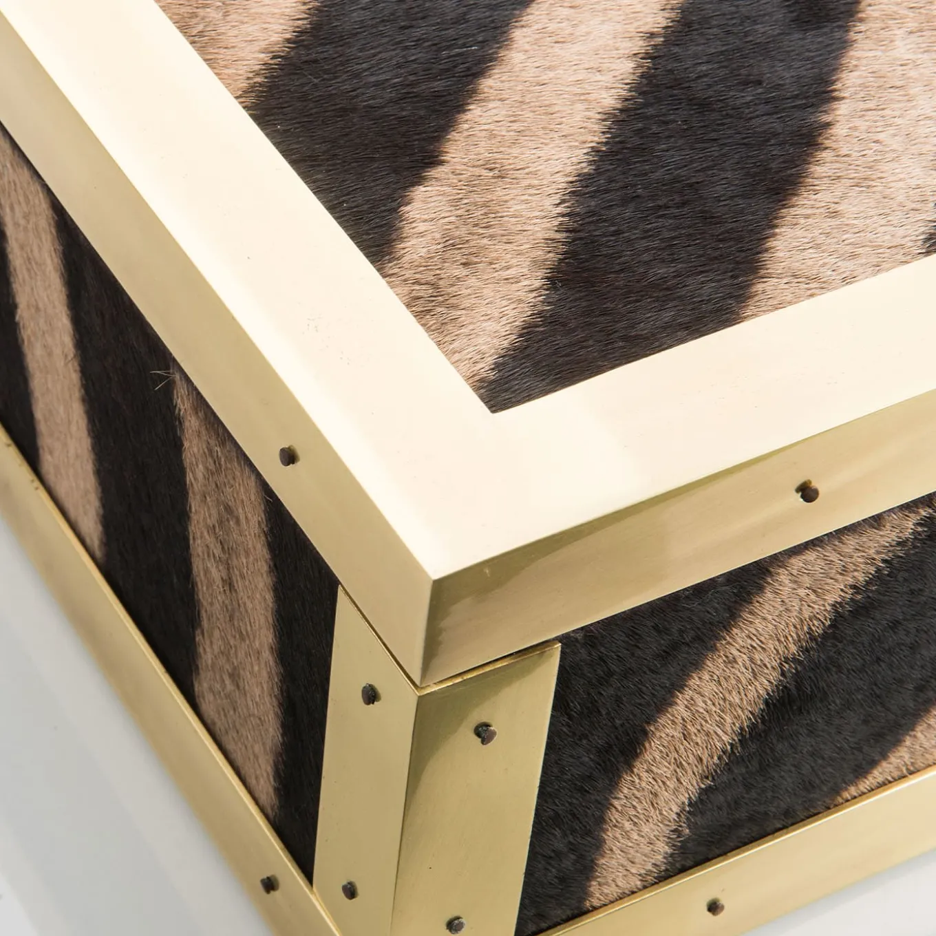 Memories Zebra Skin And Brass Box