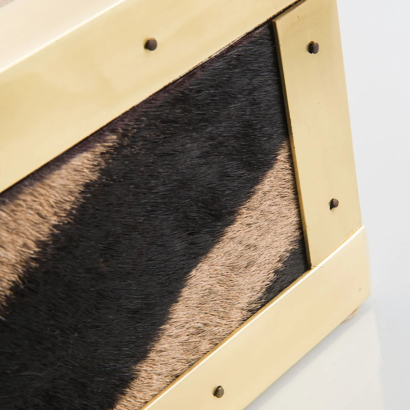 Memories Zebra Skin And Brass Box