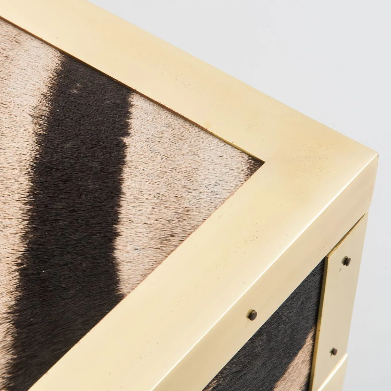 Memories Zebra Skin And Brass Box
