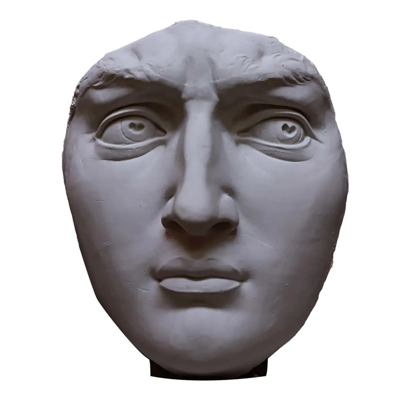 Michelangelo's David's Plaster Head