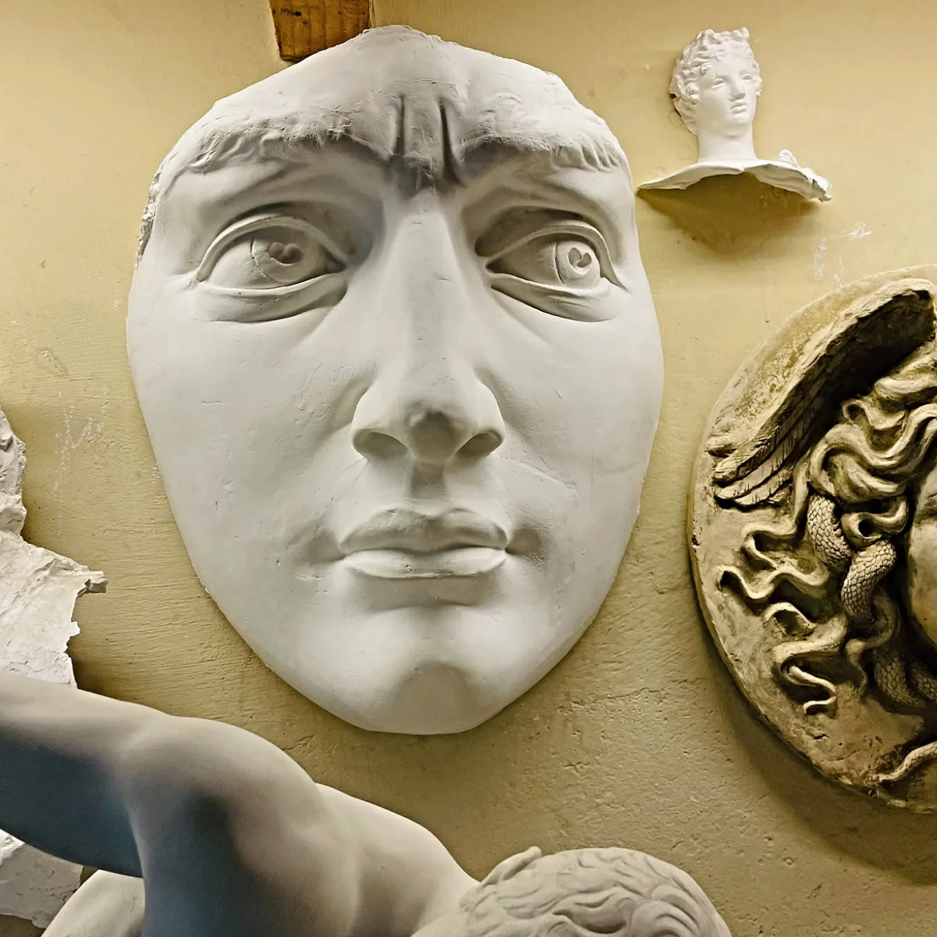 Michelangelo's David's Plaster Head