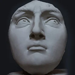 Michelangelo's David's Plaster Head
