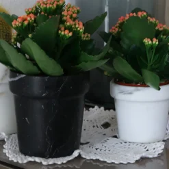 Mini Cactus Vase in White Calcatta Marble