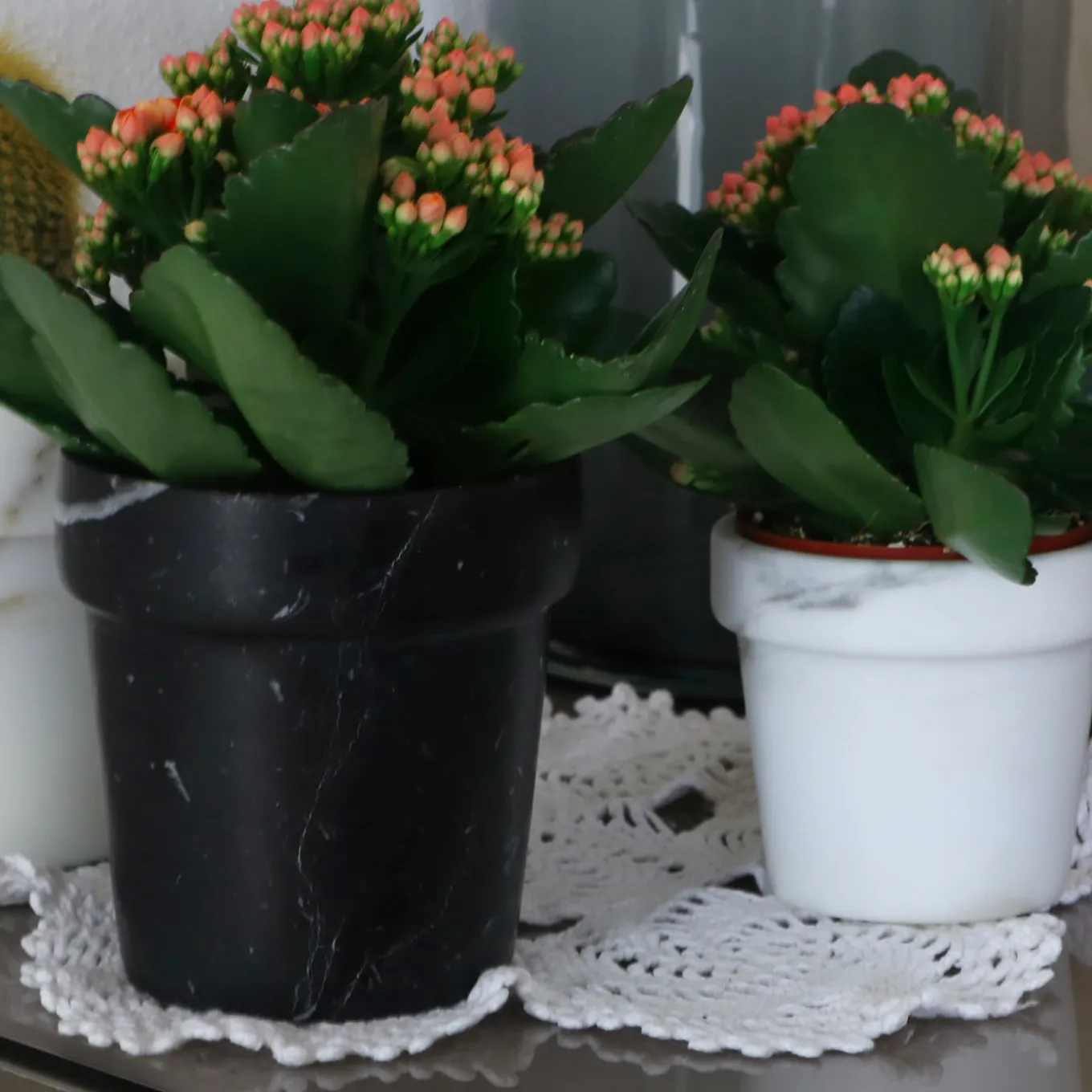 Mini Cactus Vase in White Calcatta Marble