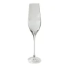 Monaco Set of 6 Etched Transparent Flutes #1