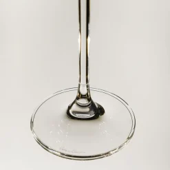 Monaco Set of 6 Etched Transparent Flutes #1