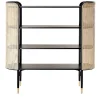 MOS Bookcase by GamFratesi