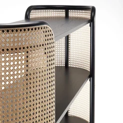 MOS Bookcase by GamFratesi