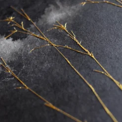 Muoviti Ferma N. 1 Painting