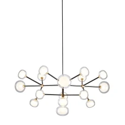 Nabila 16-Light Clear Glass Chandelier by Corrado Dotti