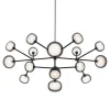Nabila 16-light Smoky Glass Chandelier by Corrado Dotti