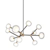 Nabila 12-Light Transparent Glass Chandelier by Corrado Dotti