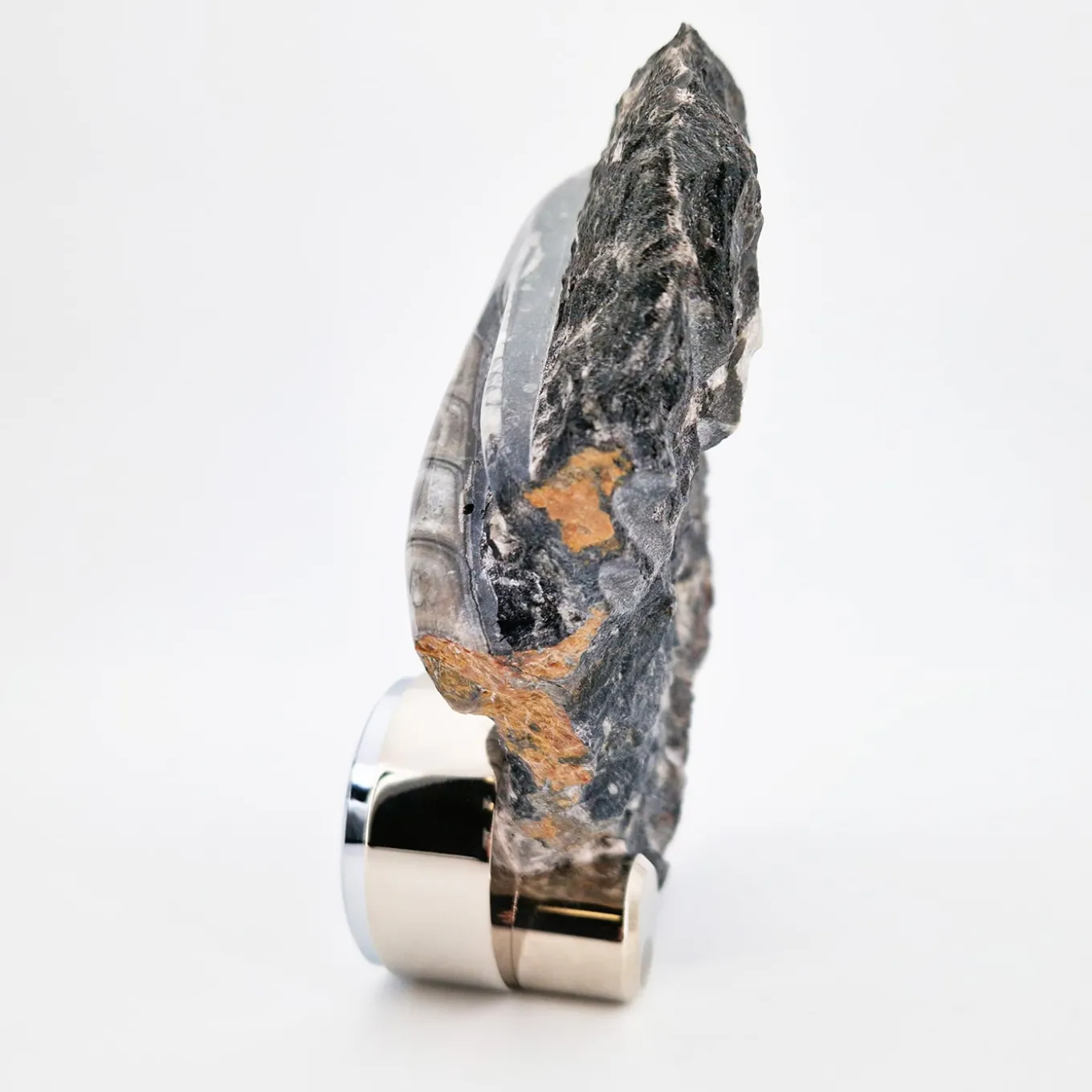 Nautilo Sculpture Clock by Nino Basso