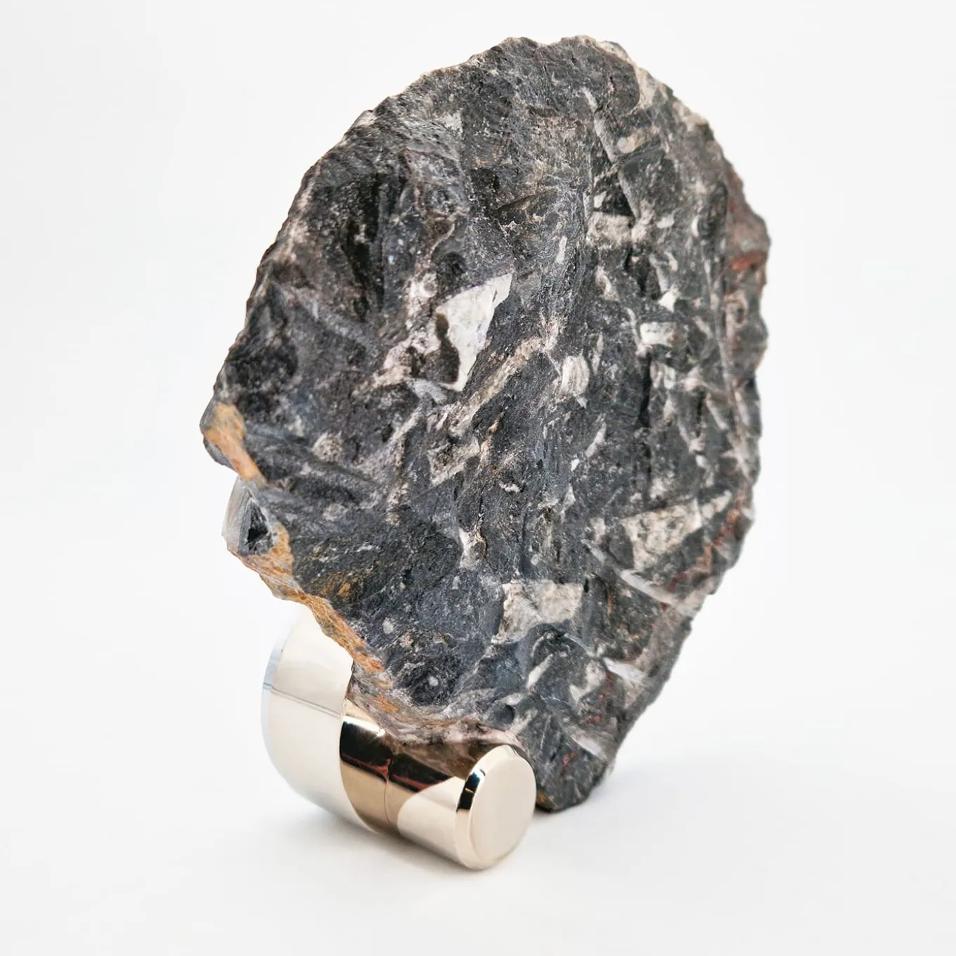 Nautilo Sculpture Clock by Nino Basso