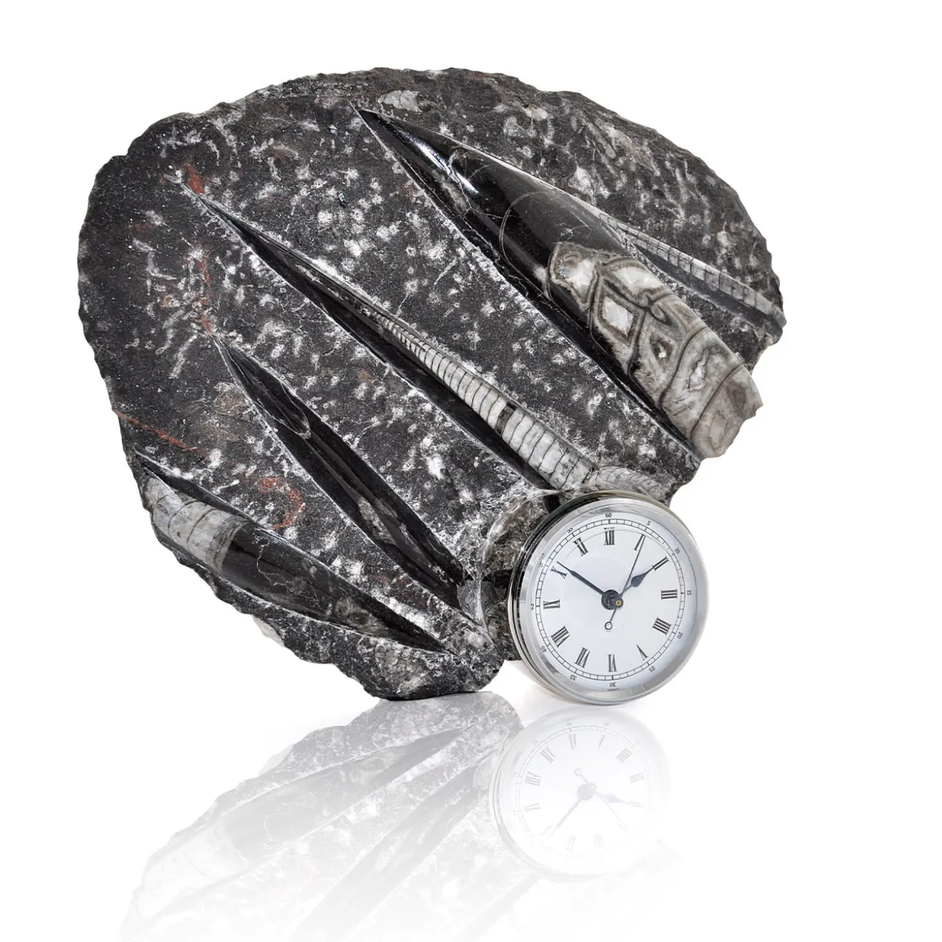 Nautilo Sculpture Clock by Nino Basso