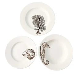 Nautilus "Cabinet de Curiosités" Dining Set