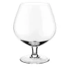 Nettare DiVino Confidence Set of 2 Brandy Glasses
