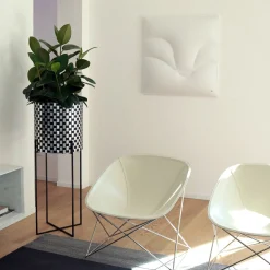 Nexum Optical 80 Black Chachepot